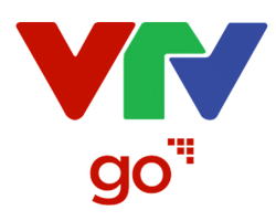 Watch FIFA World Cup on VTV Go